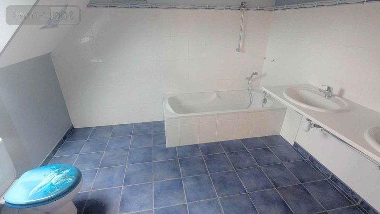 Maison a vendre Sixt-sur-Aff 35550 Ille-et-Vilaine 136 m2  301310 euros