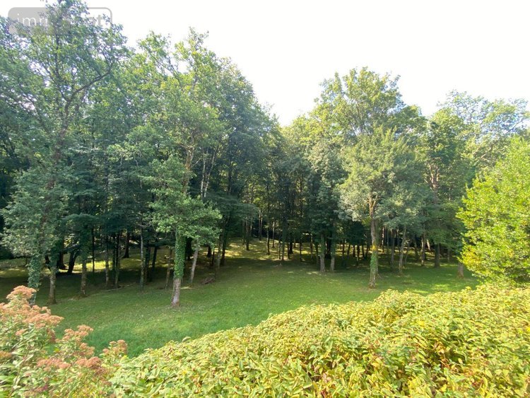 Maison a vendre Châtillon-sur-Indre 36700 Indre 258 m2 9 pièces 1273000 euros