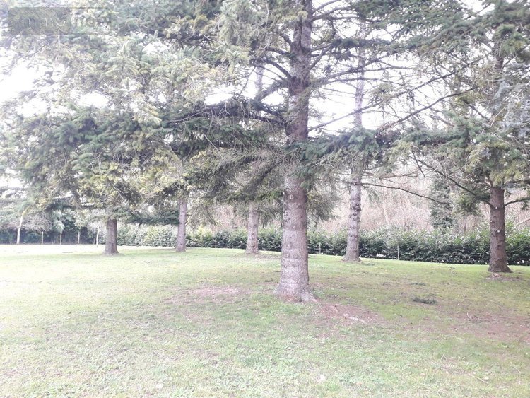 Maison a vendre Chémery 41700 Loir-et-Cher 231 m2 8 pièces 394550 euros