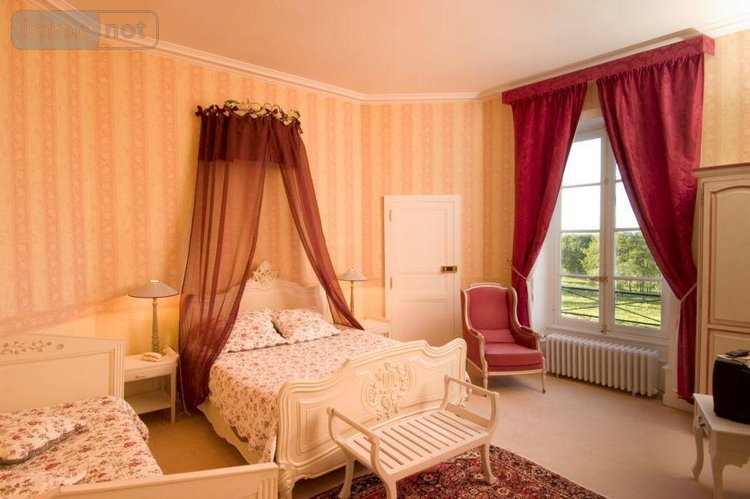 propriete a vendre Ygrande 03160 Allier 968 m2 25 pièces 2625000 euros