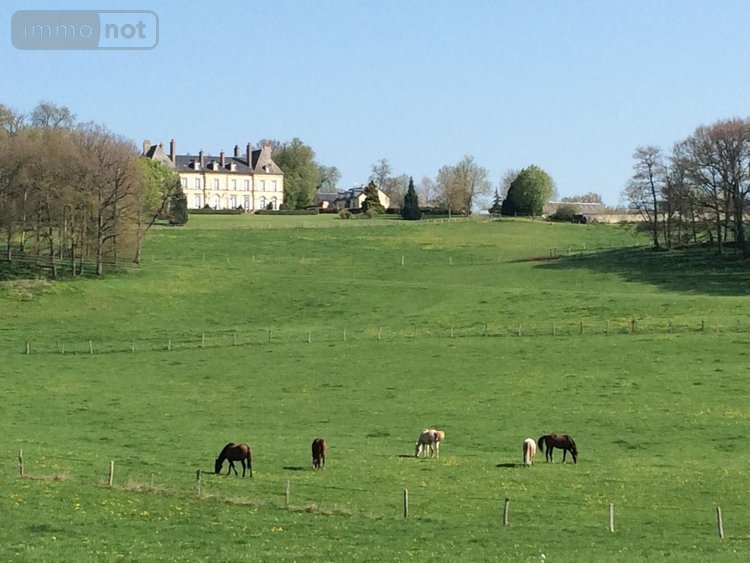 propriete a vendre Ygrande 03160 Allier 968 m2 25 pièces 2625000 euros