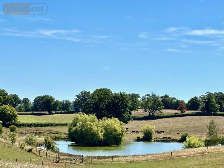 propriete a vendre Ygrande 03160 Allier 968 m2 25 pièces 2625000 euros