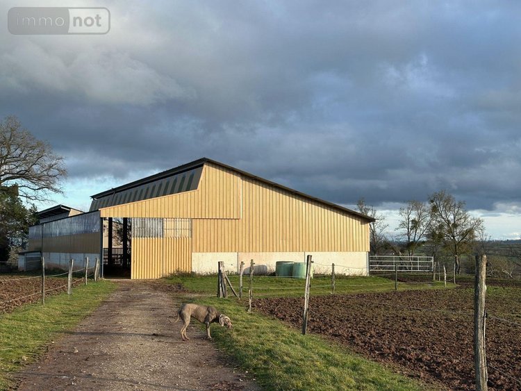 propriete a vendre Ygrande 03160 Allier 968 m2 25 pièces 2625000 euros