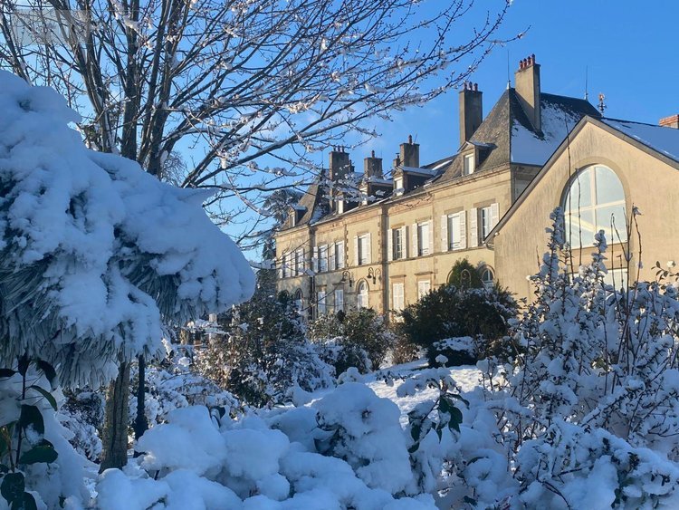 propriete a vendre Ygrande 03160 Allier 968 m2 25 pièces 2625000 euros