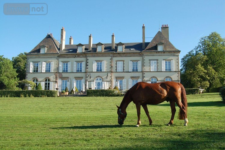 propriete a vendre Ygrande 03160 Allier 968 m2 25 pièces 2625000 euros