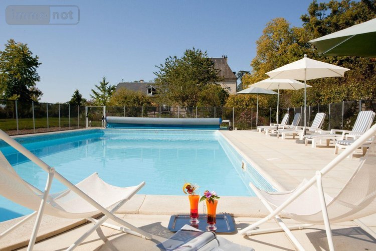 propriete a vendre Ygrande 03160 Allier 968 m2 25 pièces 2625000 euros