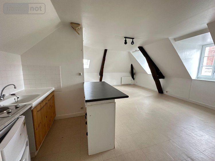 Immeuble a vendre Blois 41000 Loir-et-Cher 254 m2  366667 euros