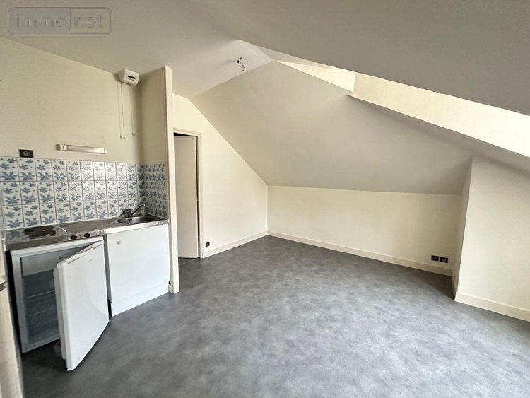 Immeuble a vendre Blois 41000 Loir-et-Cher 254 m2  366667 euros