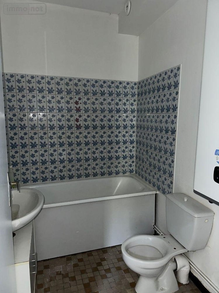 Immeuble a vendre Blois 41000 Loir-et-Cher 254 m2  366667 euros