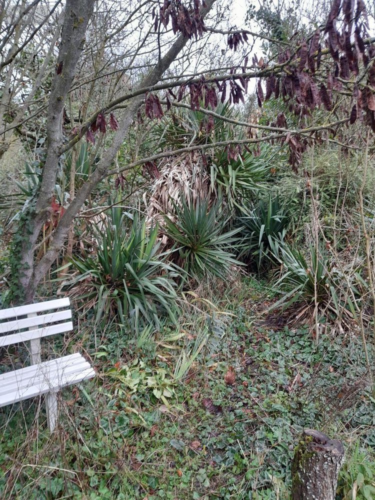 Maison a vendre Moncontour 86330 Vienne 140 m2 6 pièces 91350 euros