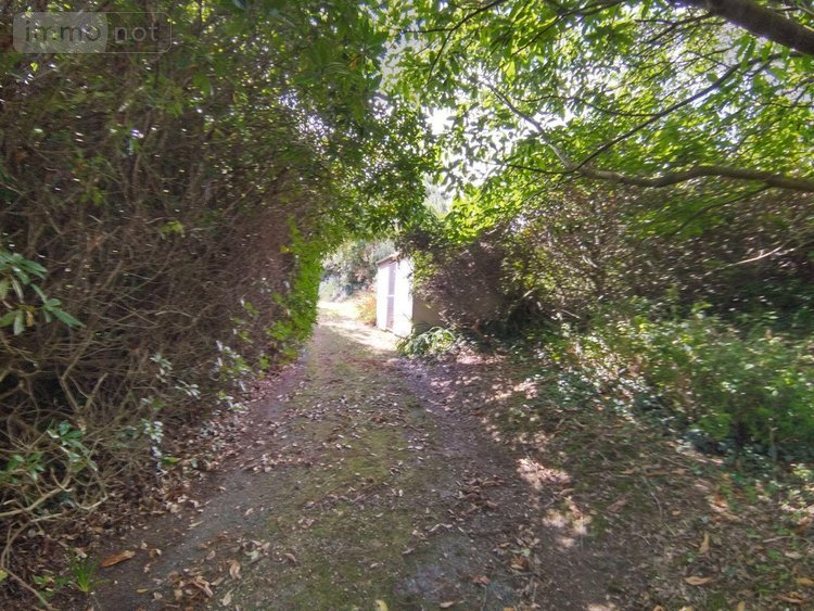 propriete a vendre Plougasnou 29630 Finistère 172 m2 10 pièces 1260000 euros