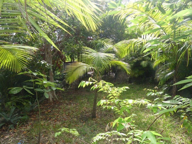 Maison a vendre Les Avirons 97425 Réunion 180 m2 6 pièces 509300 euros