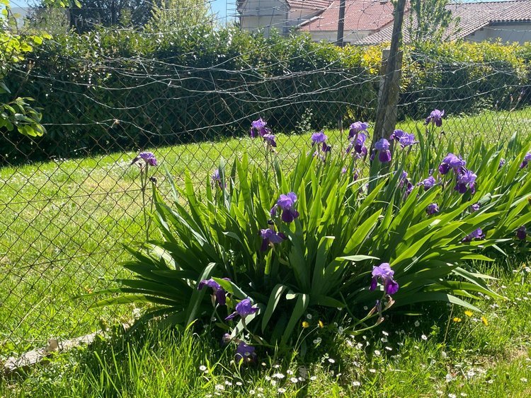 Maison a vendre Lusignac 24320 Dordogne 164 m2  161570 euros