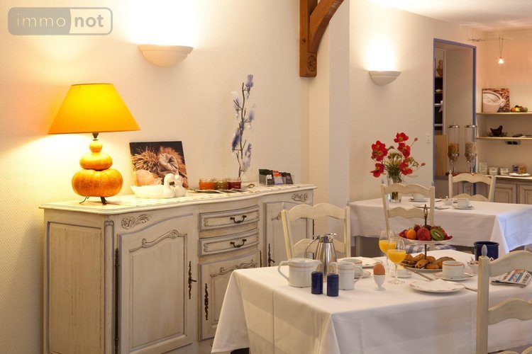 Maison a vendre Les Riceys 10340 Aube 450 m2 20 pièces 1039500 euros