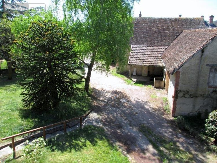 Viager maison Romorantin-Lanthenay 41200 Loir-et-Cher 216 m2 7 pièces 100000 euros