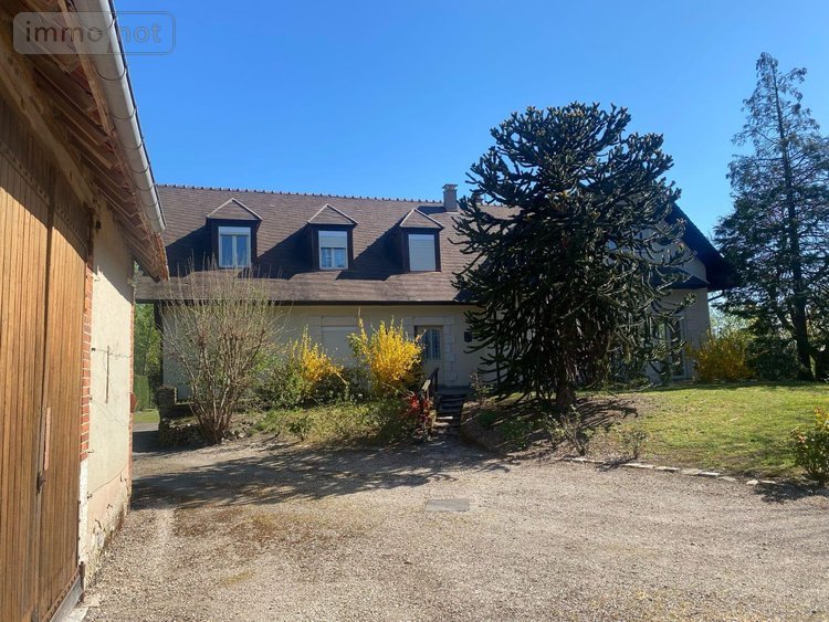 Viager maison Romorantin-Lanthenay 41200 Loir-et-Cher 216 m2 7 pièces 100000 euros