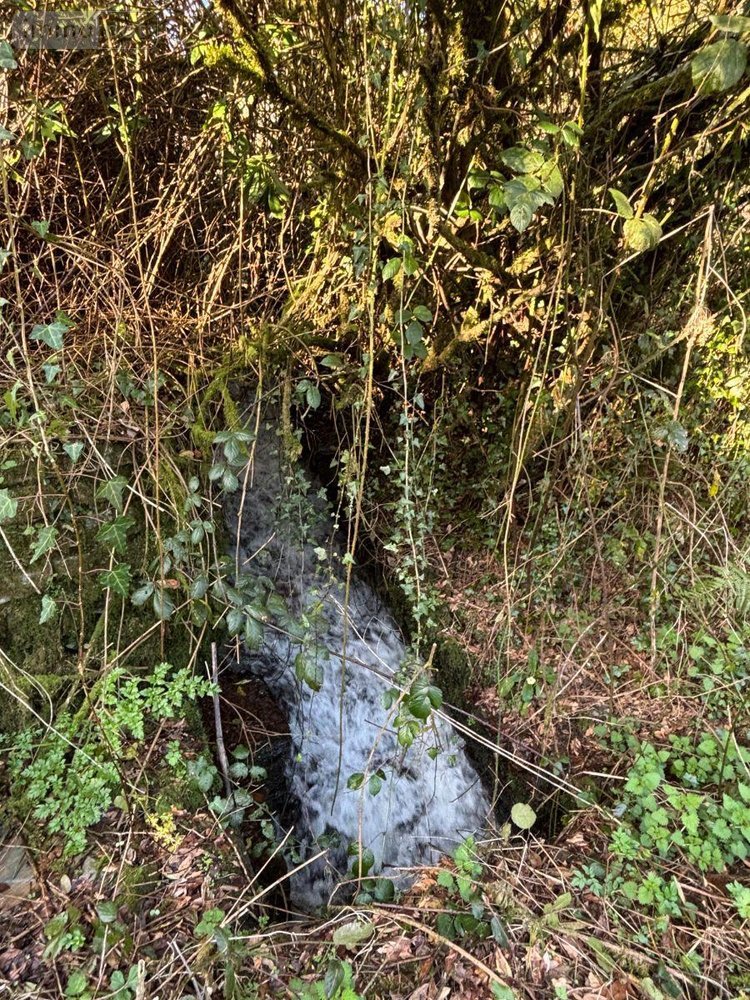 Maison a vendre Landrévarzec 29510 Finistère 124 m2 6 pièces 416000 euros