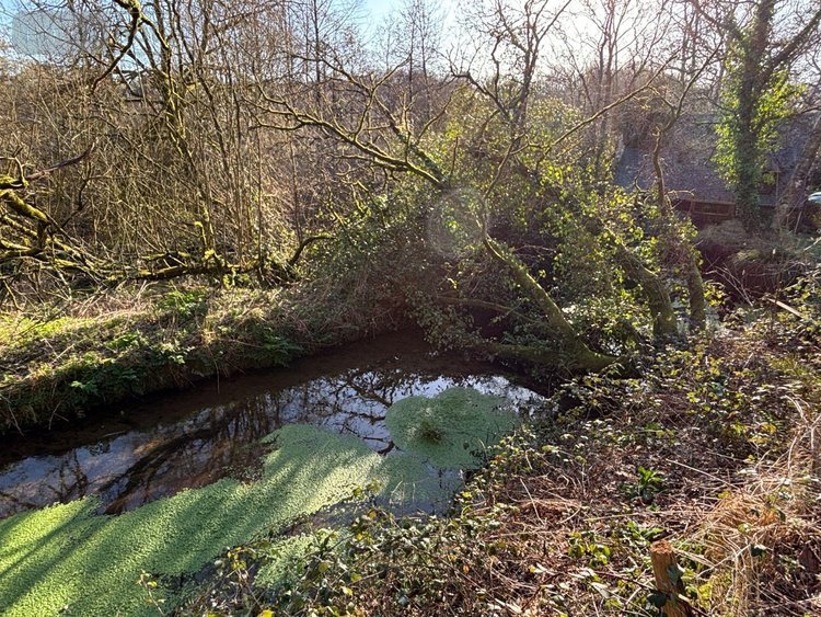 Maison a vendre Landrévarzec 29510 Finistère 124 m2 6 pièces 416000 euros