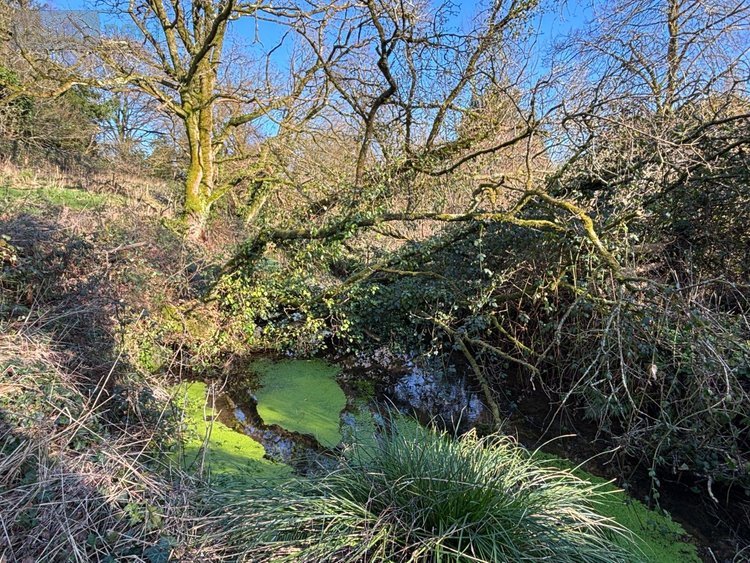 Maison a vendre Landrévarzec 29510 Finistère 124 m2 6 pièces 416000 euros