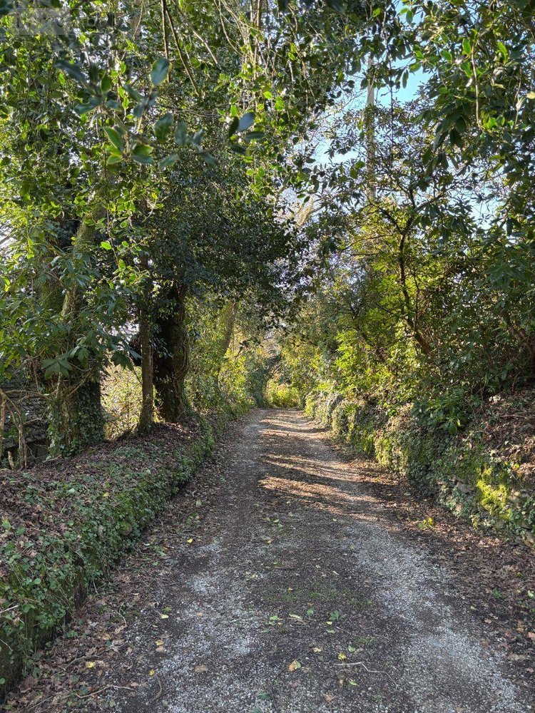 Maison a vendre Landrévarzec 29510 Finistère 124 m2 6 pièces 416000 euros