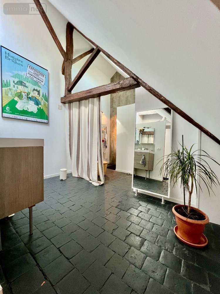 Maison a vendre Écueillé 36240 Indre 287 m2 10 pièces 199000 euros