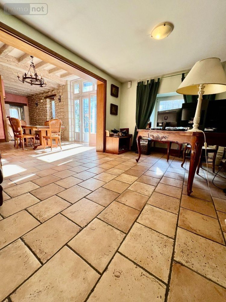 Maison a vendre Luçay-le-Mâle 36360 Indre 263 m2 10 pièces 209500 euros