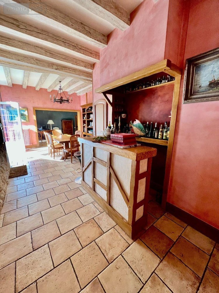 Maison a vendre Luçay-le-Mâle 36360 Indre 263 m2 10 pièces 214000 euros