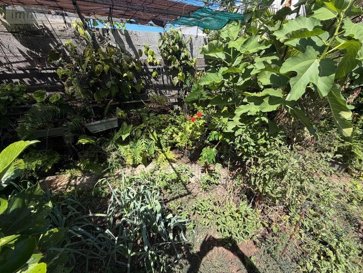 Maison a vendre Le Port 97420 Réunion 92 m2 3 pièces 233600 euros