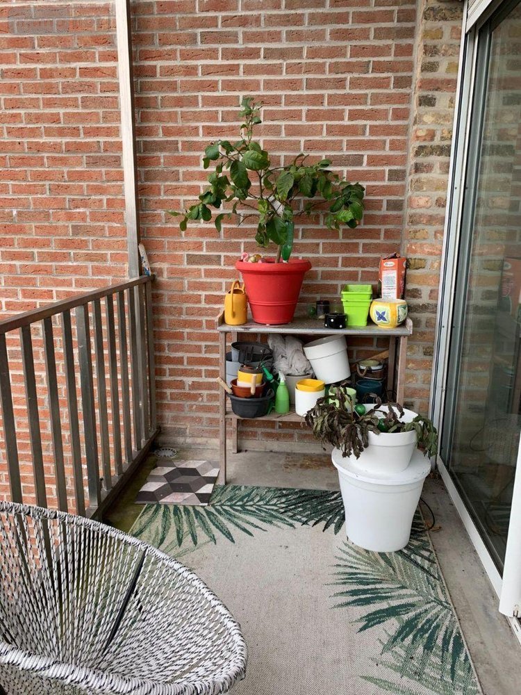 Location appartement Bailleul 59270 Nord 106 m2 4 pièces 863 euros