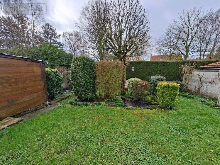 Maison a vendre Nieppe 59850 Nord 83 m2 5 pièces 215000 euros