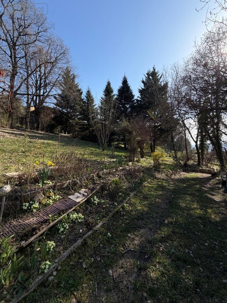 Terrain a batir a vendre Ruffieux 73310 Savoie 1111 m2  100000 euros