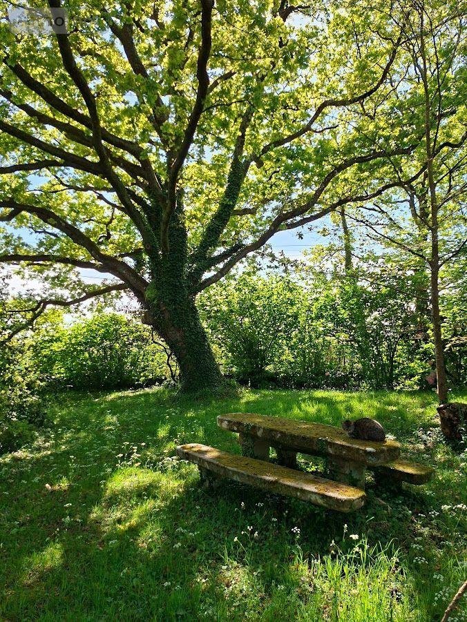 Maison a vendre Riec sur Bélon 29340 Finistère 320 m2 9 pièces 446770 euros