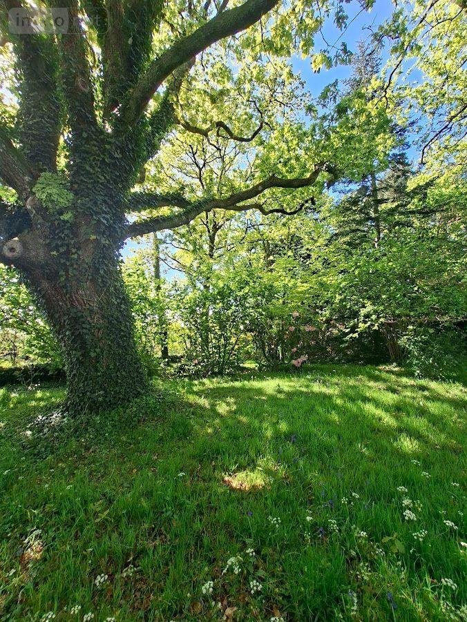 Maison a vendre Riec sur Bélon 29340 Finistère 320 m2 9 pièces 446770 euros