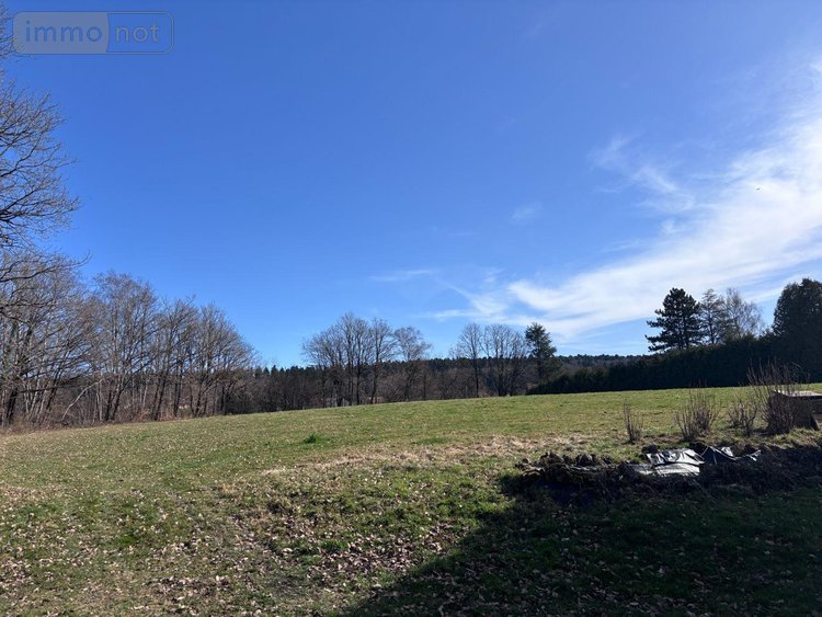 Terrain a batir a vendre Le Val-d'Ajol 88340 Vosges 9822 m2  47600 euros