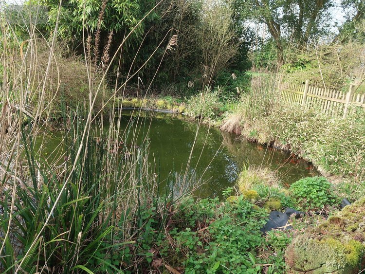 Maison a vendre Irodouër 35850 Ille-et-Vilaine 121 m2 5 pièces 316568 euros