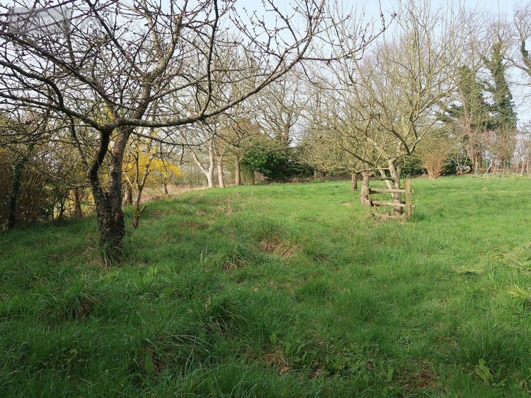 Maison a vendre Irodouër 35850 Ille-et-Vilaine 121 m2 5 pièces 316568 euros