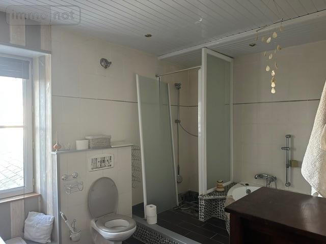 Maison a vendre Saint-Nicolas-de-Bourgueil 37140 Indre-et-Loire 220 m2 7 pièces 347200 euros