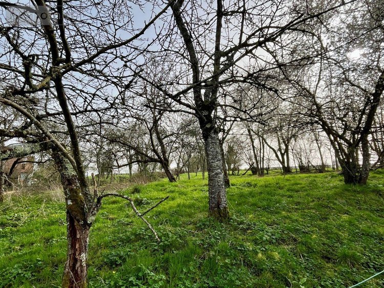 Maison a vendre Challement 58420 Nièvre 81 m2 3 pièces 74400 euros