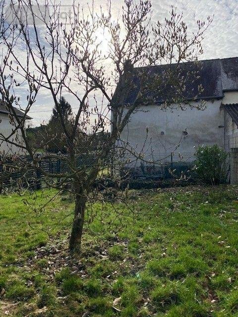 Maison a vendre Saint-Thual 35190 Ille-et-Vilaine 65 m2 4 pièces 156750 euros