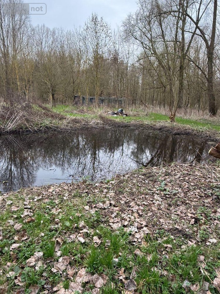 Maison a vendre Serques 62910 Pas-de-Calais 75 m2 3 pièces 194625 euros