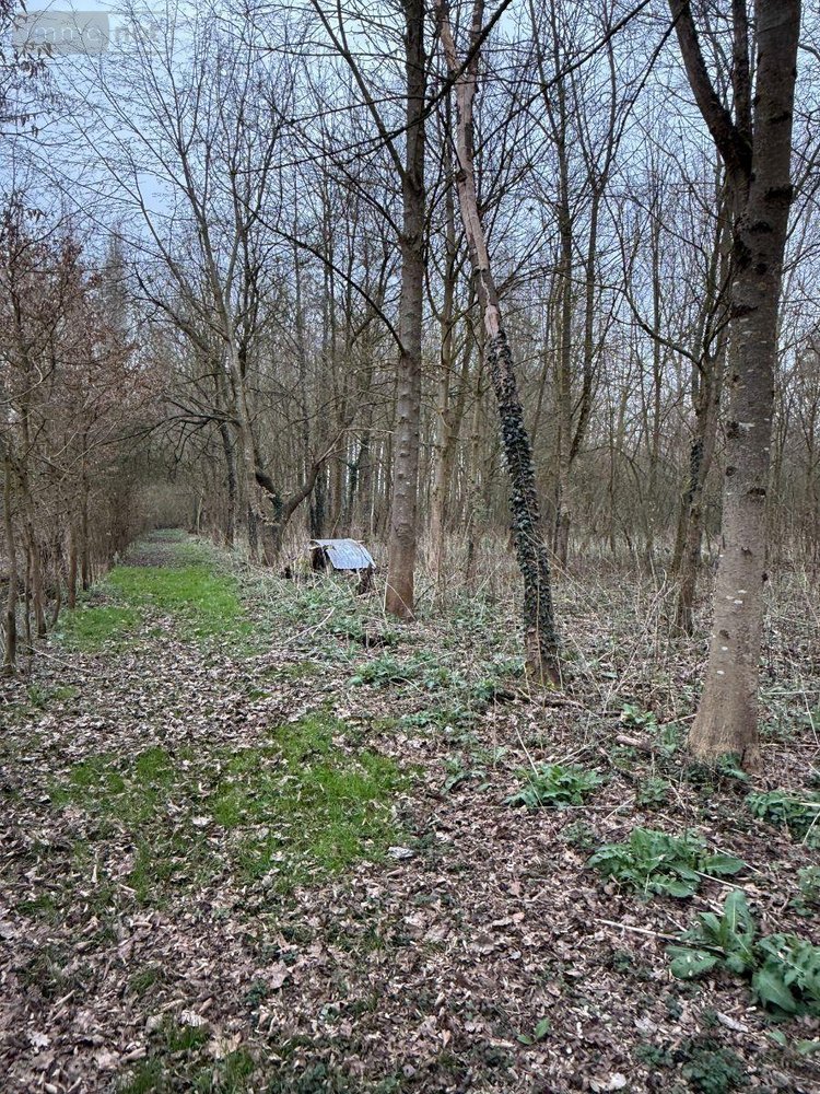 Maison a vendre Serques 62910 Pas-de-Calais 75 m2 3 pièces 194625 euros