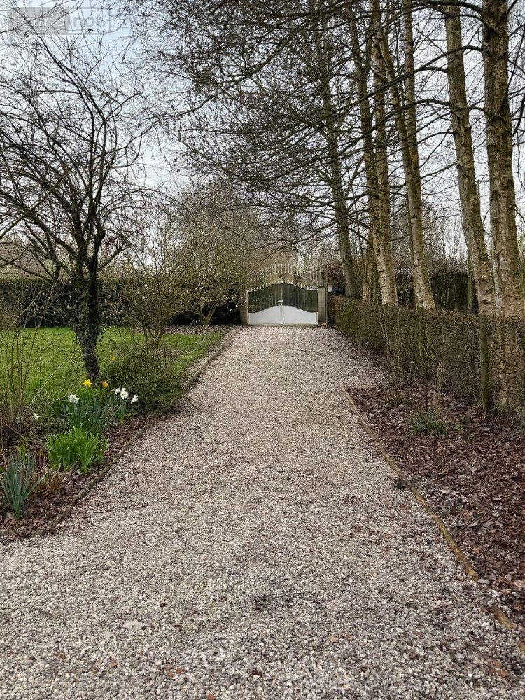 Maison a vendre Serques 62910 Pas-de-Calais 75 m2 3 pièces 194625 euros