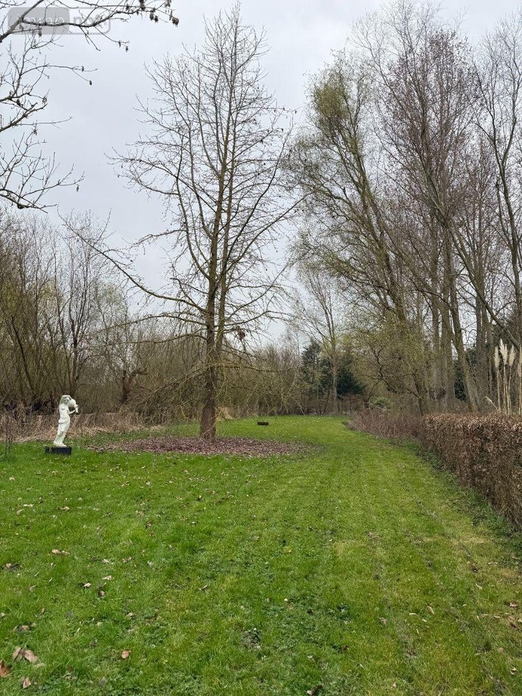 Maison a vendre Serques 62910 Pas-de-Calais 75 m2 3 pièces 194625 euros