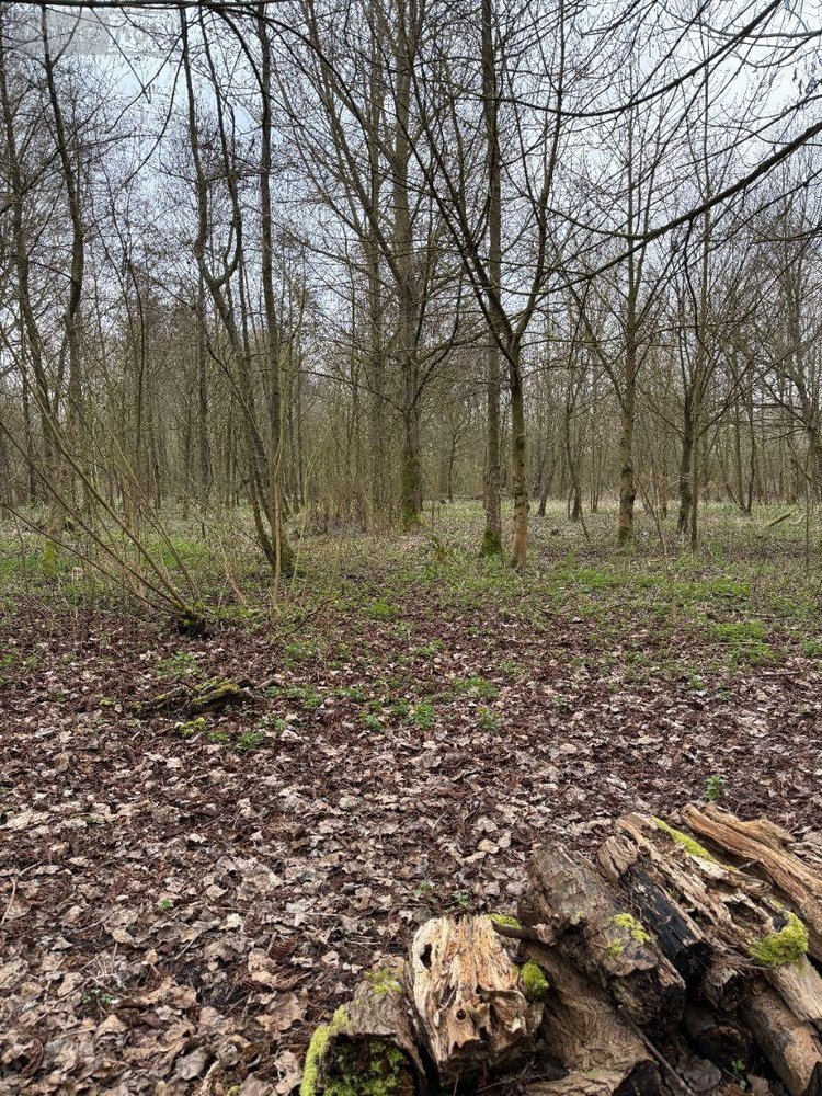 Maison a vendre Serques 62910 Pas-de-Calais 75 m2 3 pièces 194625 euros