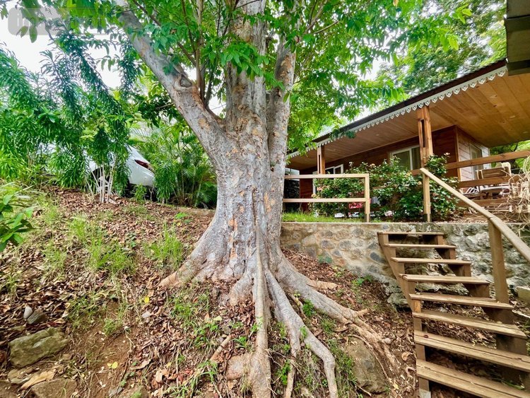 Maison a vendre La Possession 97419 Réunion 130 m2 5 pièces 780000 euros