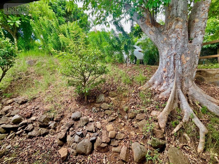 Maison a vendre La Possession 97419 Réunion 130 m2 5 pièces 780000 euros