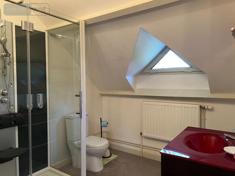 Maison a vendre Velles 36330 Indre 215 m2 5 pièces 245000 euros