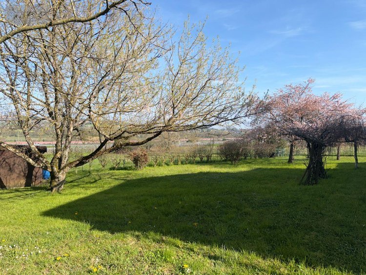 Maison a vendre Davayé 71960 Saône-et-Loire 192 m2 8 pièces 395200 euros