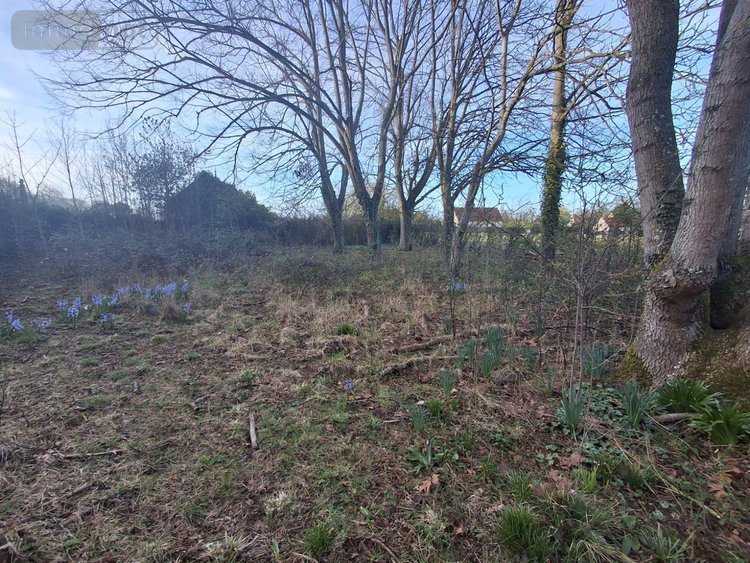 Maison a vendre Argentan 61200 Orne 116 m2 4 pièces 84800 euros