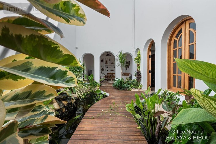 propriete a vendre Saint-Joseph 97480 Réunion 600 m2 9 pièces 1500000 euros